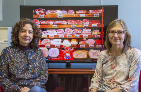 Elena Boldo y Marina Pollán, investigadoras del Centro Nacional de Epidemiología y del CIBERESP del Instituto de Salud Carlos III. / CIBER